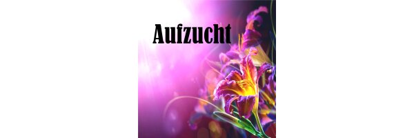 Handaufzuchtfutter