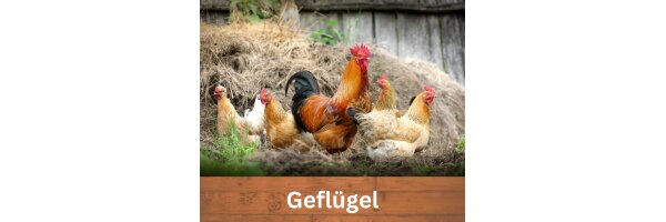 Hühnerfutter & Wachtelfutter