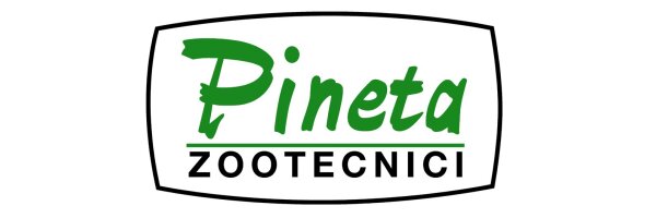 Pineta