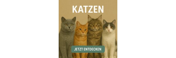 Katzen
