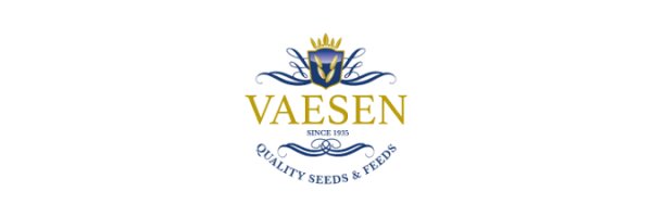 Vaesen
