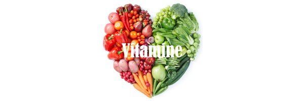 Ergänzungsfutter & Vitamine