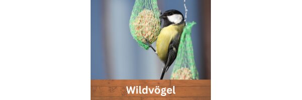 Wildvögel