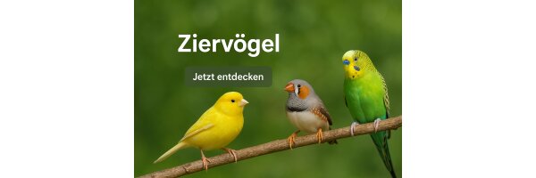 Körnerfutter