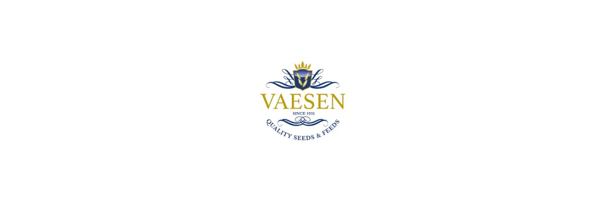 Vaesen