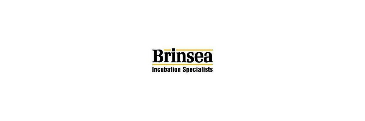Brinsea