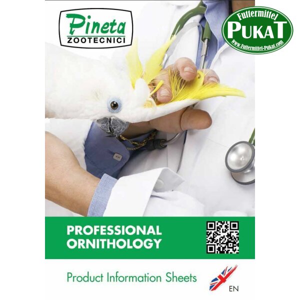 Katalog Pineta Englisch