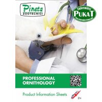 Katalog Pineta Englisch