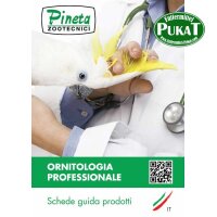 Katalog Pineta Italienisch