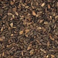 Fichtensamen fein weich 1kg