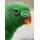Psittacus Eclectus Special Handaufzuchtfutter 5kg