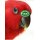 Psittacus Eclectus Special Handaufzuchtfutter 5kg