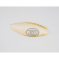 Sepiaschalen XL groß 9-11" (ca. 20-26cm) 1...