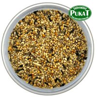 DV243 Exoten Zucht 5kg