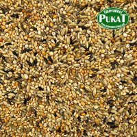 DV243 Exoten Zucht 1kg