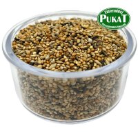 DV243 Exoten Zucht 1kg
