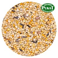 DV41 Zebrafinken/Goulds - Exoten 5kg