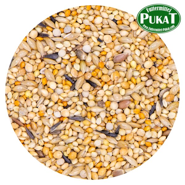 DV41 Zebrafinken/Goulds - Exoten 1kg