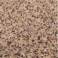 Bird Supreme Canary South Excellent 20kg