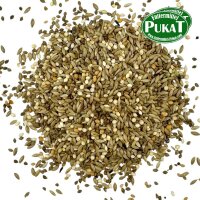 DV24 Schau Wellensittiche "Jo Mannes" 1kg