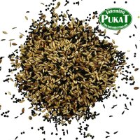 DV15 Kanarien Zucht mit Rübsen 1kg
