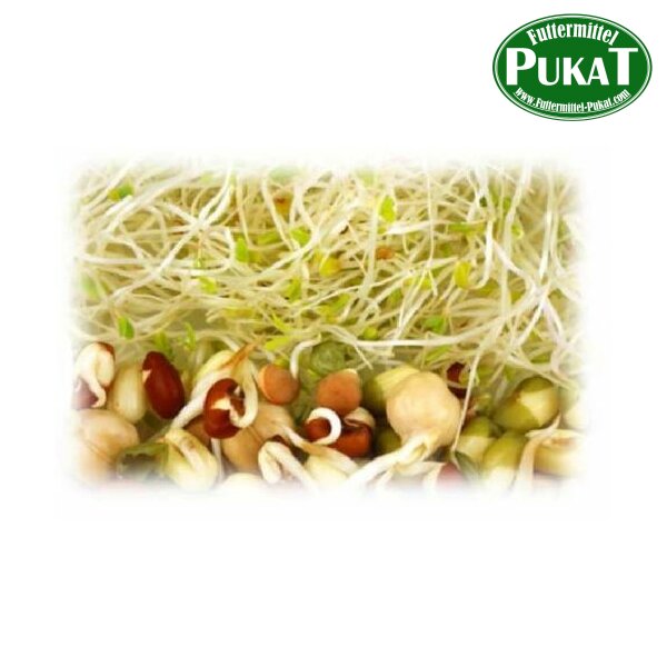 KF31 Keimfutter-Quellfutter Papageien mittel 20kg