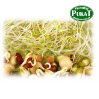 KF31 Keimfutter-Quellfutter Papageien mittel 20kg
