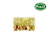 KF31 Keimfutter-Quellfutter Papageien mittel 20kg