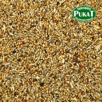 DV289 Astrilden/Prachtfinken 1kg