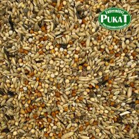 DV21 Wellensittiche Zucht 1kg