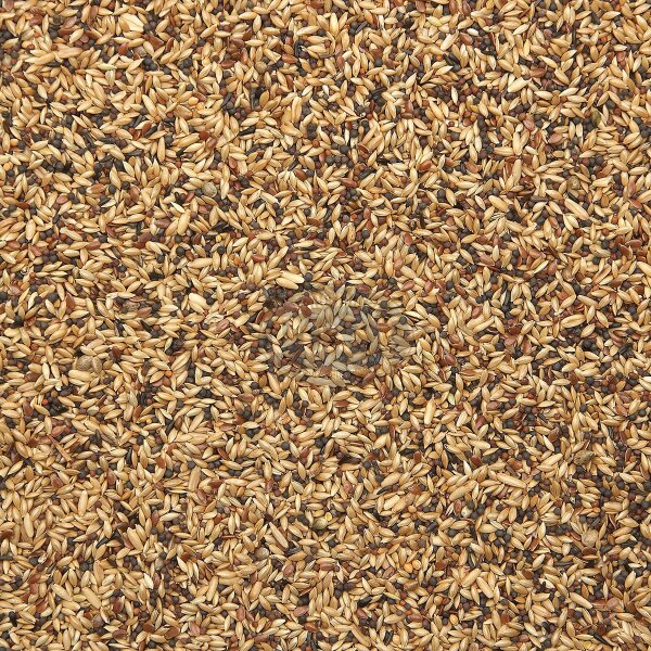 Bird Supreme Kanarien Extra mit Rübsen 1kg