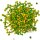 Ornitalia Perle Morbide Frutis Grün 800g