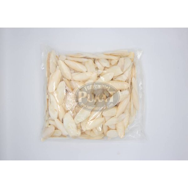 Sepiaschalen M mittel 5-6" (ca. 12-16cm) 2kg