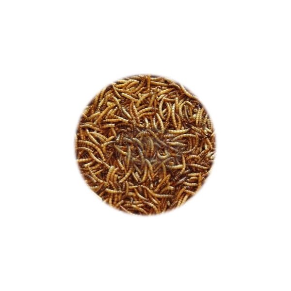 Mehlwürmer getrocknet 80g