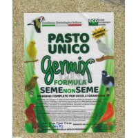 Germix Aufzuchtfutter Pasto Unico Canary 1kg (lose)