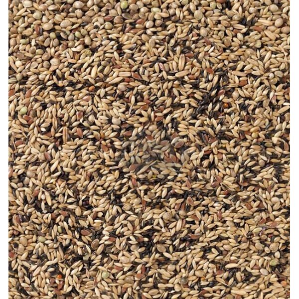 Deli Nature Nr. 80 Kanarien Zucht ohne Rübsen 1kg
