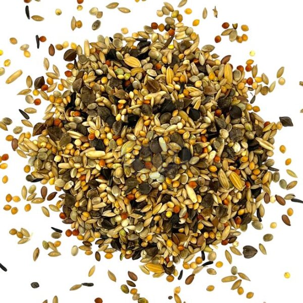 Australische Sittiche 800g