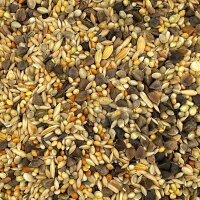Australische Sittiche 800g