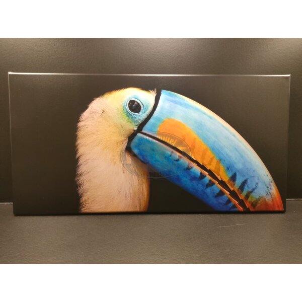 Foto auf Leinwand 60 × 30 cm – Tukan „Farbenzauber“