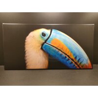 Foto auf Leinwand 60 × 30 cm – Tukan...