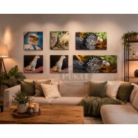 Foto auf Leinwand 60 × 30 cm – Wachtel Motiv