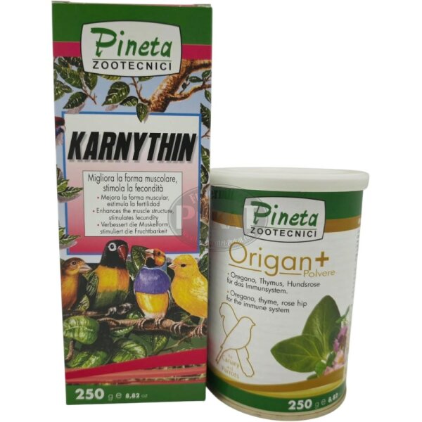 Pineta-Spar-Paket Ausstellungs-Support 1- Vor
