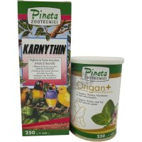 Pineta-Spar-Paket Ausstellungs-Support 1- Vor