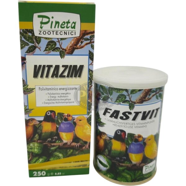 Pineta-Spar-Paket Ausstellungs-Support 2- Nach