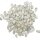 Kürbiskerne weiß 4kg