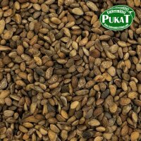 Kiefernsamen grob weich 1kg