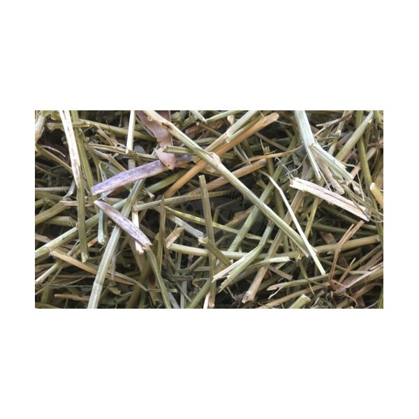 Nestmaterial Sisal Fibre 36PS Nestmaterial für Agaporniden 250g
