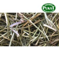 Nestmaterial Sisal Fibre 36PS Nestmaterial für...