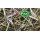 Nestmaterial Sisal Fibre 36PS Nestmaterial für Agaporniden 250g