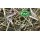 Nestmaterial Sisal Fibre 36PS Nestmaterial für Agaporniden 250g